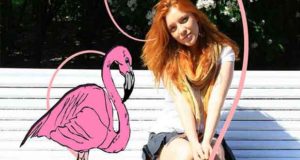 All die verwirrten Männer: Ein rosa Flamingo in Hamburg