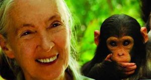 Jane´s Journey: Die Lebensreise der Jane Goodall