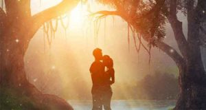 Wald der Wunder: Fantasy Romance