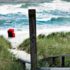 Jaspers letzter Flirt - Ein Fall für die Kripo Wattenmeer