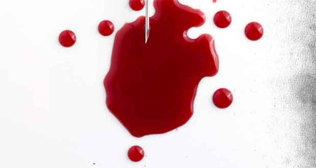 Dein Fleisch, mein Blut: Thriller
