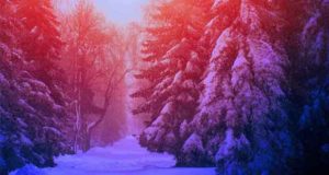 Wintermond (Seasons Of Love 1)