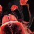 Der Tod wird dich vermissen