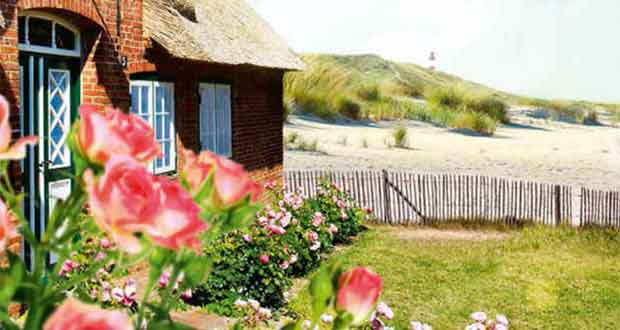 Ein Sommer im Rosenhaus: Roman