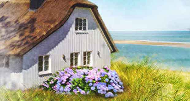 Insel wider Willen: Nordseeglück