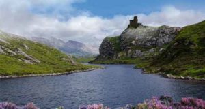 Liebeslektionen in den Highlands: Liebesroman