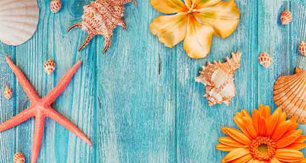 Summer in my pocket: Sonnige Geschichten