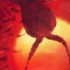 VIETNAM BLACK: Horrorthriller