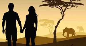 Als die Elefanten kamen: Eine Liebesgeschichte