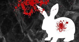 Dead White Rabbit: Der Untergang