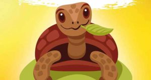 DAS GROSSE SCHILDKRÖTENLEXIKON - Landschildkröten halten für Einsteiger