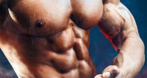 Muskelaufbau - Trainieren wie ein Profi