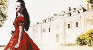 Die Liebe der fremden Lady : ein historischer Liebesroman