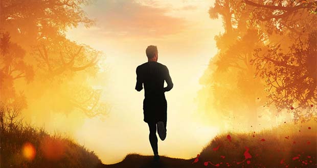 Humboldt und der letzte Lauf