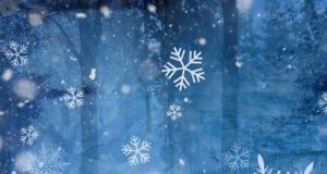 Die Schneemänner - Oh, holy Night! Weihnachtsroman