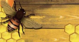 Honigtod: Mord im Bienengarten. Ein bayerischer Heimatkrimi