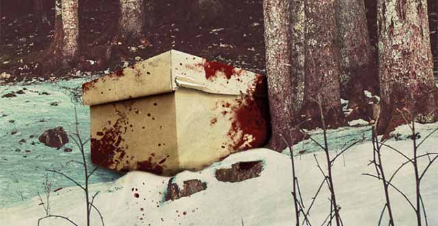 Botschaft in Stücken: Norwegen-Thriller