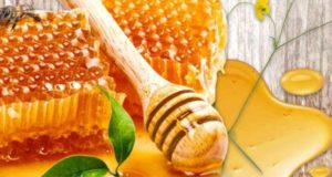 Honigfieber: Irland-Liebesroman