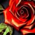 Tears & Blood