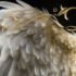 Angel's Soul: Fluch der Offenbarung: Romantische Fantasy