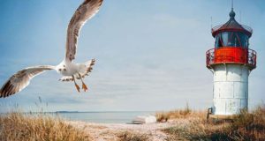 Gretchen Larssen und das Ostseemädchen: Küstenkrimi