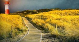 Nordsee Hass