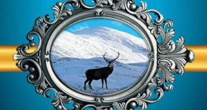 Gegenwind in den Highlands: Eine Highland-Lovestory