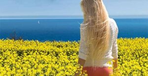 Sterne über dem Ostseefjord