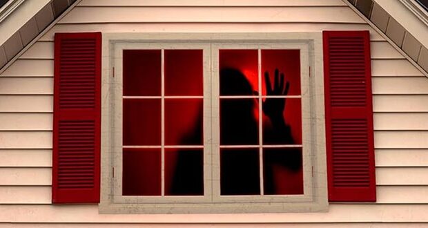 Das blutende Haus: Psychothriller