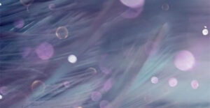 The Light in our Souls: New Adult Romance