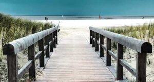 Ein toter Kollege