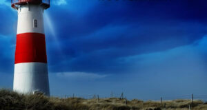 Grausames Sylt