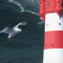 SOKO NORDSEE - Tot im Turm