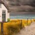 Sylt mit Mord - Die verlorenen Kinder