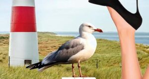 Die eiskalte Strohwitwe von Sylt