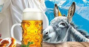 Mörderisches Halleluja
