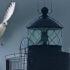 Mord im Nordseehotel