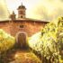 Das geerbte Weingut