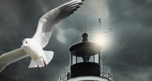 Mord im Nordseenebel