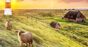Wendepunkt im Nordseekoog