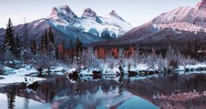 Winterspuren in Arrowwood