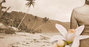 Das Erbe des Horizonts