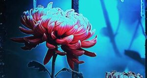 Stirb an deinen Lügen