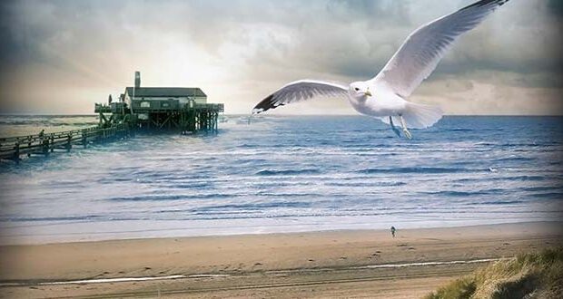 NORDSEEMORD Der Tote auf dem Campingplatz