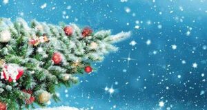 Die Schneemänner - Hallelujah