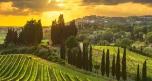 Liebe unter Zypressen