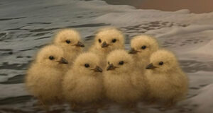 MORD IM NORDSEESTURM