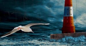 NORDSEEKRIMI - Aenne Feddersen und der vergessene Tod