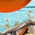 Was das Meer zum Leuchten bringt