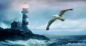 Der Tote in der Scheune